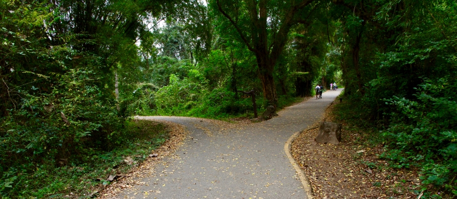 "Two roads diverged in a wood, and I, I took the one less traveled by, and that had made all the difference"