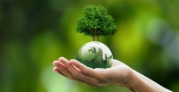 Environmental sustainability is about ecological balance