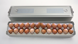 The SteriTite container and the egg, two durable barrier systems
